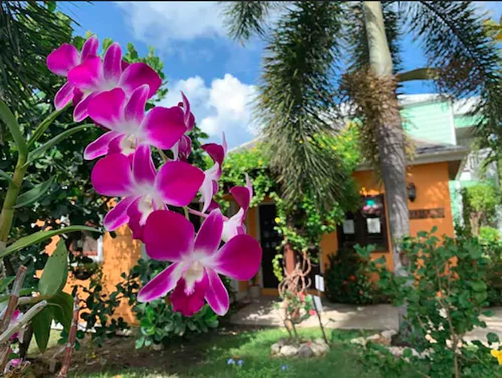 Buccaneer Beach Club Dickenson Bay Exterior photo