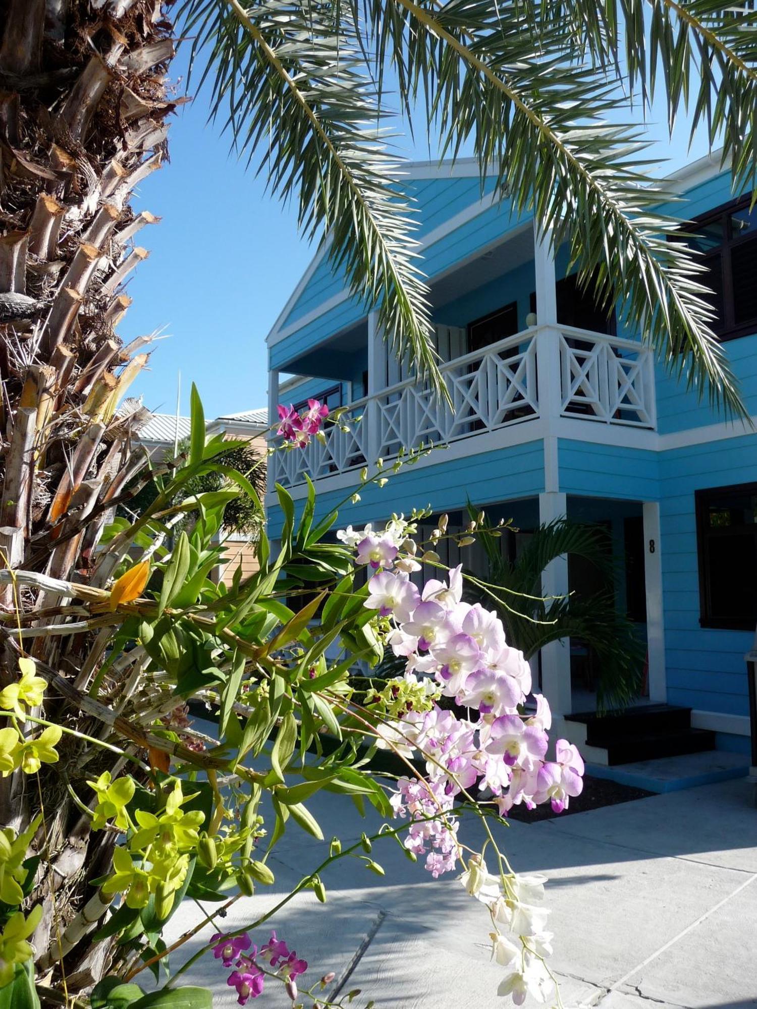 Buccaneer Beach Club Dickenson Bay Exterior photo
