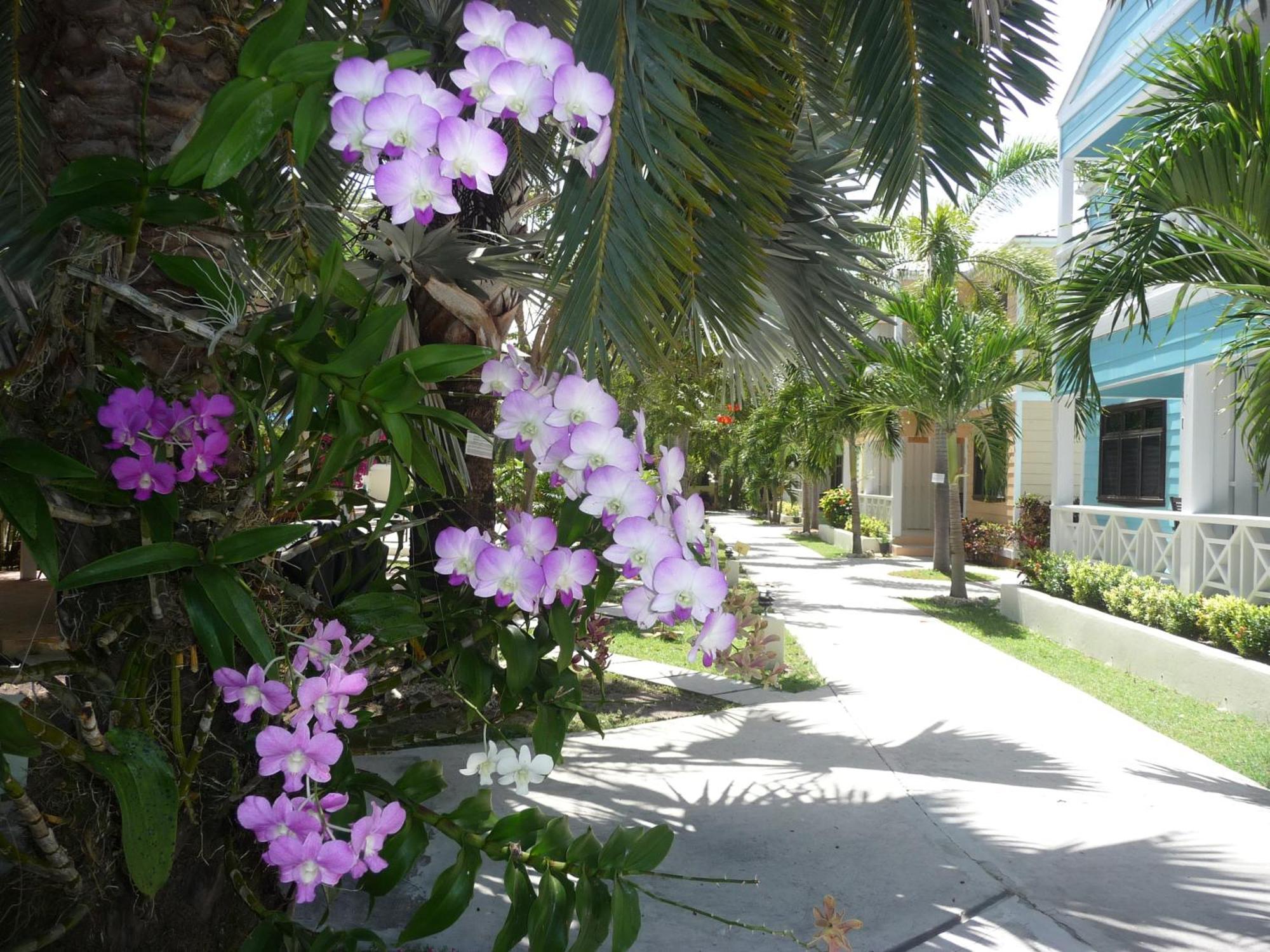 Buccaneer Beach Club Dickenson Bay Exterior photo